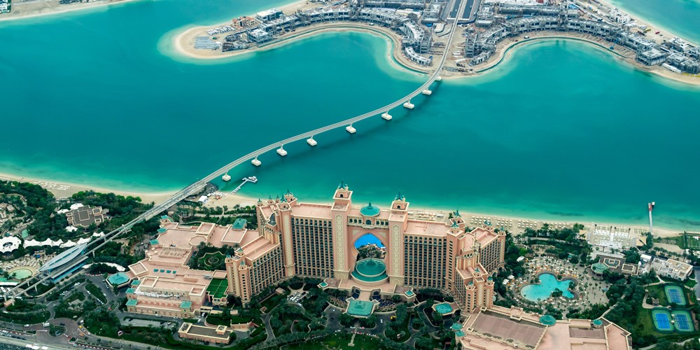 aerial shot of the palm