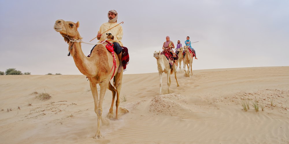  camel riding safety