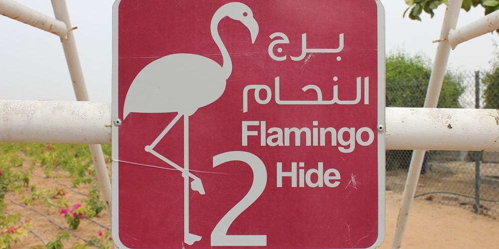 Ras Al Khor Wildlife Sanctuary Flamingo Hide